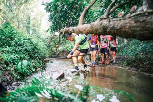 BIB: 
                            <button type="button" onclick="openModal(25514659)" class="btn btn-primary btn-sm float-right btn-popup" data-toggle="modal" data-target=".modal-high-quality">
                        <i class="fas fa-shopping-cart"></i> Add to Cart
                    </button>
                                            <button type="button" onclick="isThisMe(25514659, true)" class="btn btn-success btn-sm float-right btn-popup btn-isme hidden" data-toggle="tooltip" data-placement="bottom" title="นี่คือรูปของคุณใช่ไหม คลิกที่นี่เพื่อเอาเข้าอัลบั้ม">
                        <i class="fas fa-plus"></i> Add to album
                    </button>
                    <button type="button" onclick="isThisMe(25514659, false)" class="btn btn-warning btn-sm float-right btn-popup btn-isnotme hidden">
                        <i class="fas fa-ban"></i> Remove from album
                    </button>